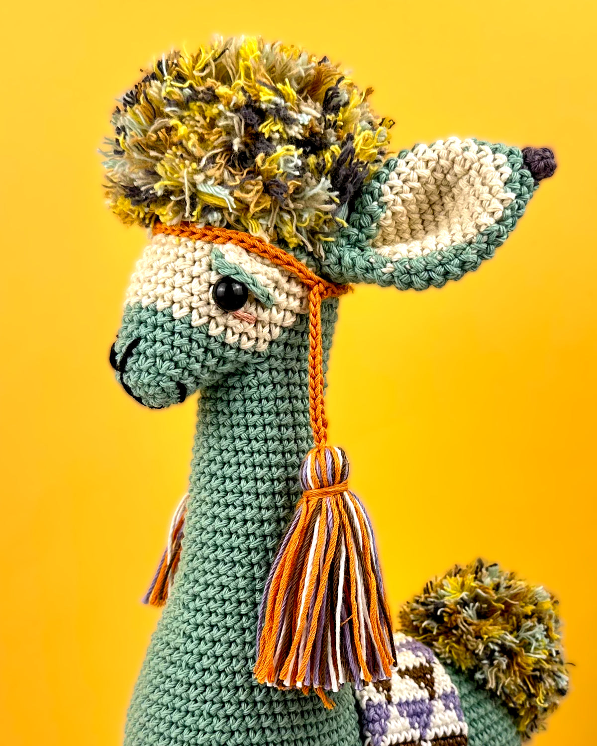 Kusi, das Lama